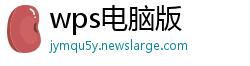 wps电脑版